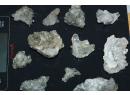 Lot de spcimens de quartz - Oisans - France